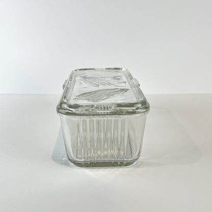 Federal Glass Refrigerator Box with Lid